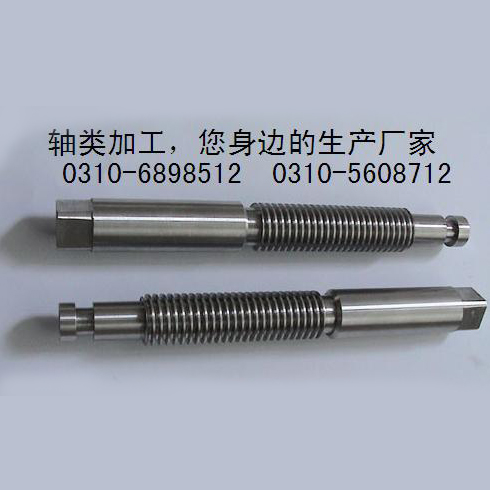 S|Sa(chn)S|Sa(chn)Ʒ